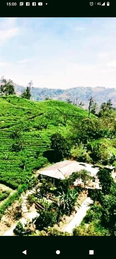Tunnel Gap Homestay Ella Bagian luar foto
