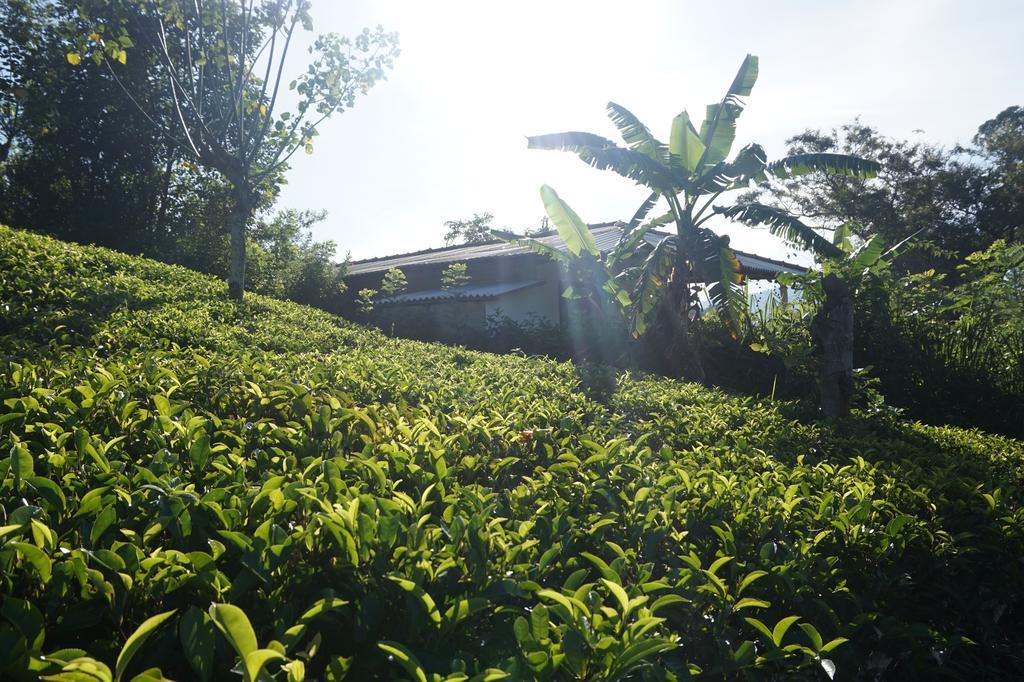 Tunnel Gap Homestay Ella Bagian luar foto