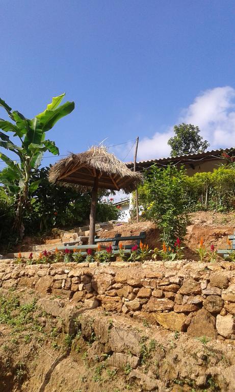 Tunnel Gap Homestay Ella Bagian luar foto