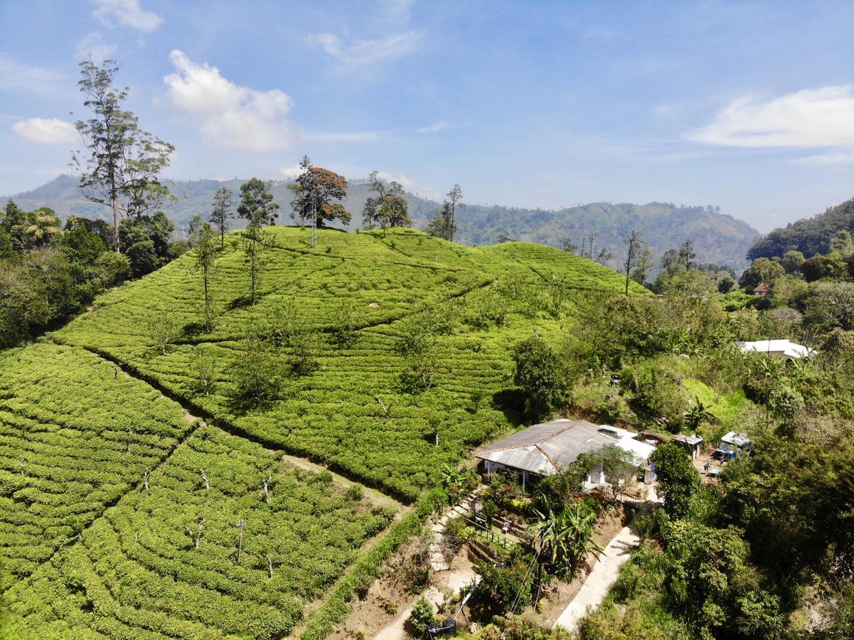 Tunnel Gap Homestay Ella Bagian luar foto